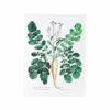 Affiche radis blanc - 30 x 40 cm