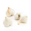 Ail bio - Prix au kg