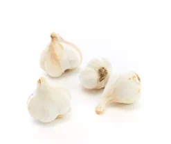 Ail bio - Prix au kg