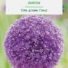 Allium giganteum botanic® - 1 bulbe