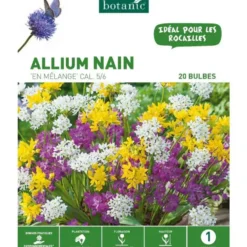Allium Mélange botanic® - 20 bulbes