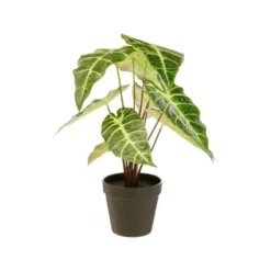 Alocasia artificielle verte en pot - Ø 26 x H 41 cm