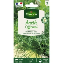 Aneth Officinal Vilmorin - graines à semer