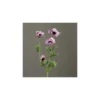 Anémone lavande artificielle H64 cm