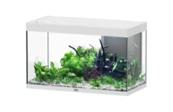 Aquarium coloris blanc Aquatlantis Sublime Ultra LED 2.0 245 L - 100 x 50 x 60 cm