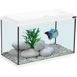 Aquarium coloris blanc 20L - 40 x 20 x 25 cm