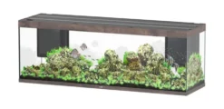 Aquarium coloris chêne foncé Aquatlantis Sublime Ultra LED 2.0 675 L - 200 x 60 x 75 cm