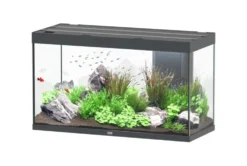 Aquarium coloris gris Aquatlantis Sublime Ultra LED 2.0 333 L - 120 x 50 x 70 cm