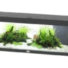 Aquarium coloris noir Aquatlantis Prestige LED 2.0 170 L - 120 x 40 x 45 cm