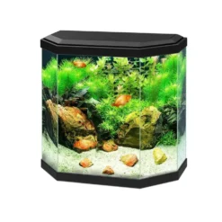 Aquarium équipé Aqua 30 noir - 25L