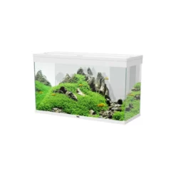 Aquarium équipé Émotions Pro 100 blanc - 201 L