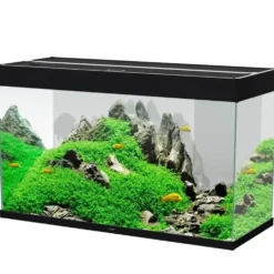 Aquarium équipé Émotions Pro 100 noir - 201 L