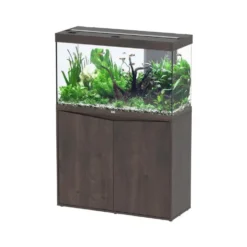 Aquarium équipé Splendid chêne foncé - 202L