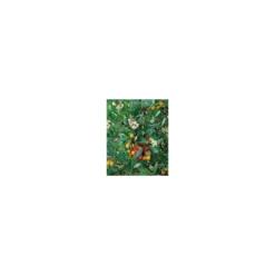 Arbousier (ARBUTUS UNEDO) Le pot de 18 litres