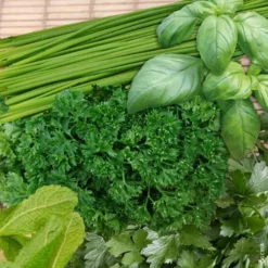 Aromatiques Variees. Le pot de 5 litres