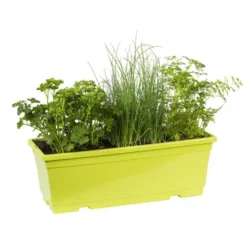 Aromatique Varie Bio. La jardinière de 40 cm