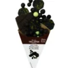 Assortiment de chocolats Maison Taillefer - dans un cornet de 130 g