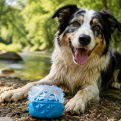 Balle rafraîchissante bleue pour chien Wouapy Fresh