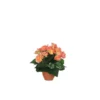 Bégonia saumon artificiel en pot Campana Terra H 25 x Ø 20 cm