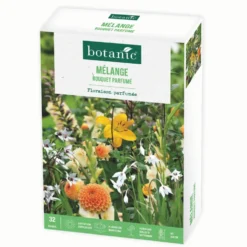 Boite de bulbes de fleurs en mélange bouquet parfumé botanic® – 32 bulbes
