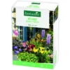 Boite de bulbes de fleurs en mélange pour balcon et terrasse botanic® – 32 bulbes
