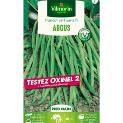 Boite de graines haricot vert Argus avec échantillon oxinel 2 coloris vert Vilmorin jardin - 10 x 2,7 x 17,2 cm
