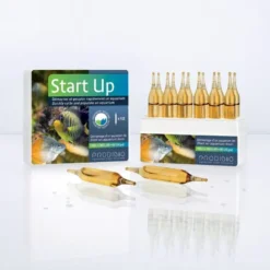 Boîte d'ampoules Prodibio Start'Up - x 12