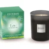 Bougie initiale parfumée Esteban en verre noir senteur Eau d'Amazonie - 180 g