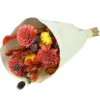 Bouquet de fleurs séchées Naturalys - Bouquet Sola S rouge - 50 cm
