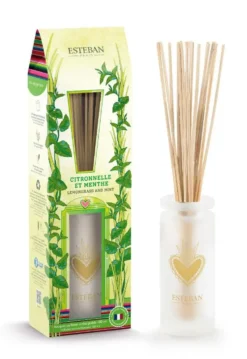 Bouquet parfumé avec sa recharge senteur citronnelle et menthe Esteban - 100 ml