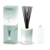 Bouquet parfumé déco et sa recharge Pur Lin - 100 ml Esteban - 100 ml