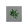 Branche artificielle d’Aralia verte - 80 cm
