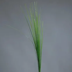 Branche artificielle d’Isolepsis vert clair - 70 cm