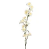 Branche de cerisier artificiel à fleurs crème - 65 cm