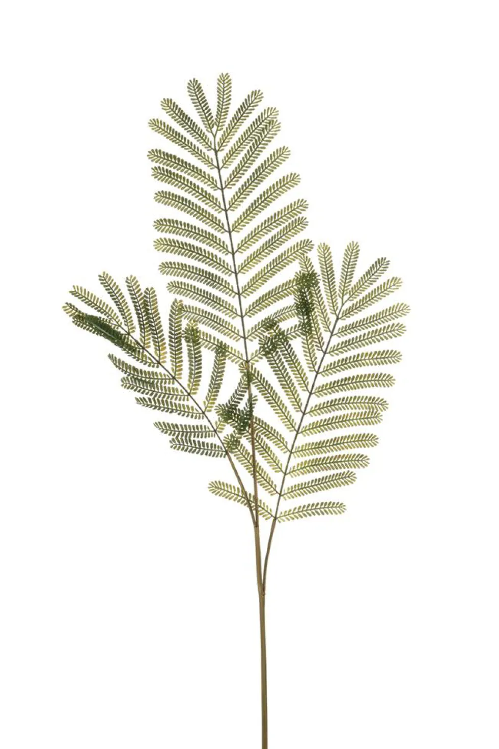 Branche de feuille de mimosa artificielle 3 rameaux - 35 x 35 x 90 cm