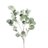 Branche d’eucalyptus artificielle - 88 cm