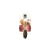 Brosse simple en bois pour rongeurs 18x6 cm