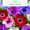 Bulbes de fleurs Anémone simples de Caen en mélange botanic® - 12 bulbes