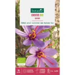 Bulbes de fleurs Crocus safran bio mauve botanic® - 7 bulbes