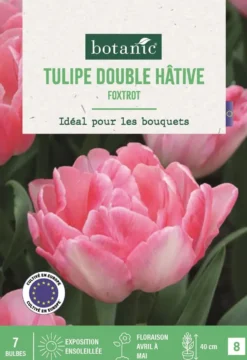 Bulbes de fleurs Tulipe Darwin hybride Foxtrot rose botanic® - 7 bulbes