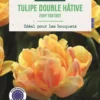 Bulbes de fleurs Tulipe double tardive Foxy Foxtrot rose botanic® - 7 bulbes
