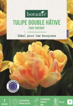 Bulbes de fleurs Tulipe double tardive Foxy Foxtrot rose botanic® - 7 bulbes