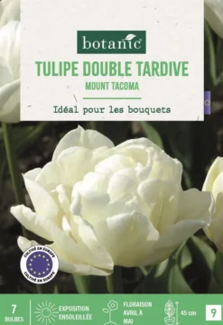 Bulbes de fleurs Tulipe double tardive Mount Tacoma blanc botanic® - 7 bulbes
