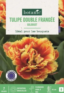 Bulbes de fleurs Tulipe frangée double Goldust rouge et jaune botanic® - 7 bulbes
