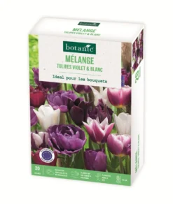 Bulbes de fleurs Tulipe mélange violet blanc botanic® - 20 bulbes