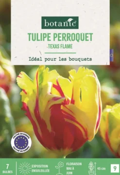 Bulbes de fleurs Tulipe perroquet Texas Flame rouge et jaune botanic® - 7 bulbes