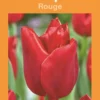 Bulbes de fleurs Tulipe rouge botanic® - 7 bulbes