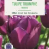 Bulbes de fleurs Tulipe triomphe Negrita violet botanic® - 7 bulbes