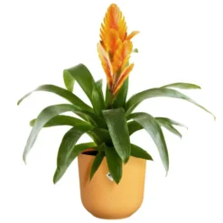 Cache-pot coloris jaune Jazz Elho - Ø 26 cm