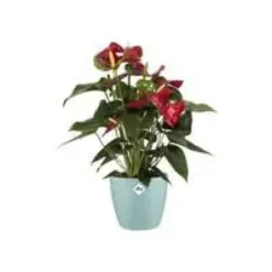 Cache-pot en plastique coloris vert menthe Elho Brussels M16 - Ø 16 cm